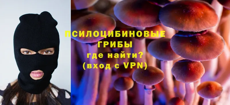 наркотики  ОМГ ОМГ   Псилоцибиновые грибы Psilocybe  Тобольск 